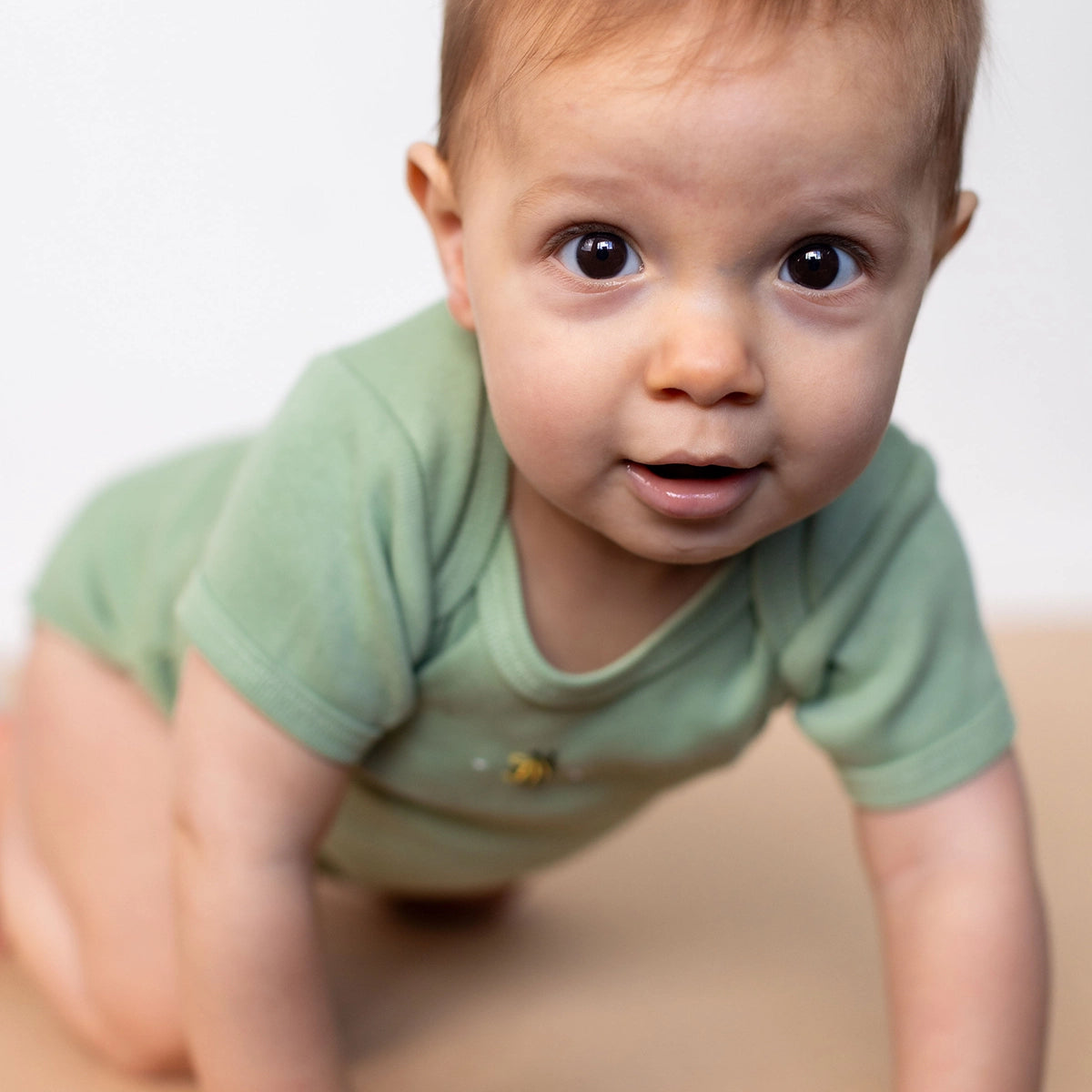 Cotton Short Sleeve Bodysuit NB Apple Green - Dimples