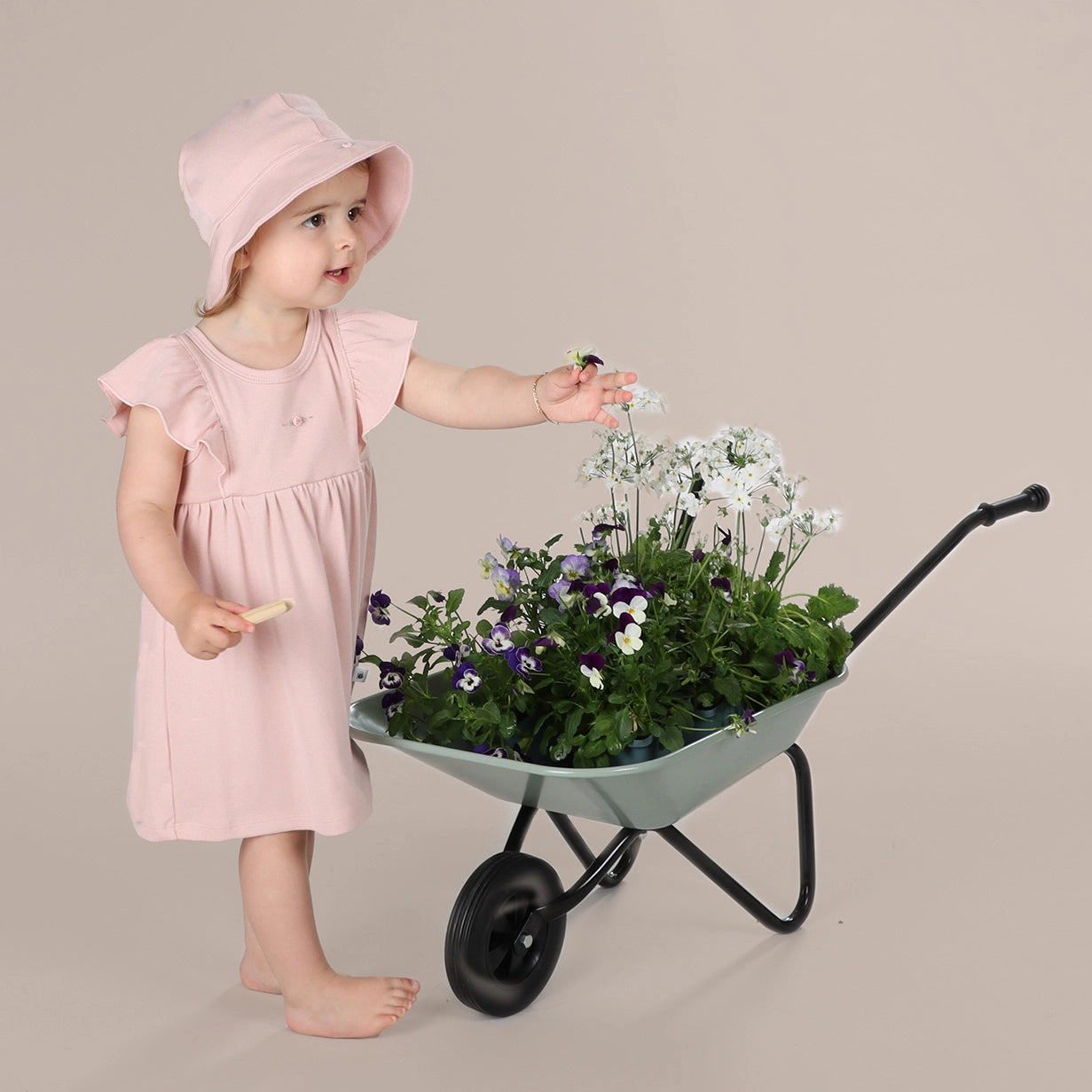 Cotton Frill Dress 3mth Dusky Pink - Dimples