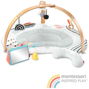 Deluxe Activity Gym - Discoverosity Montessorifrom Skip Hop:image,small_image,thumbnail,swatch_image