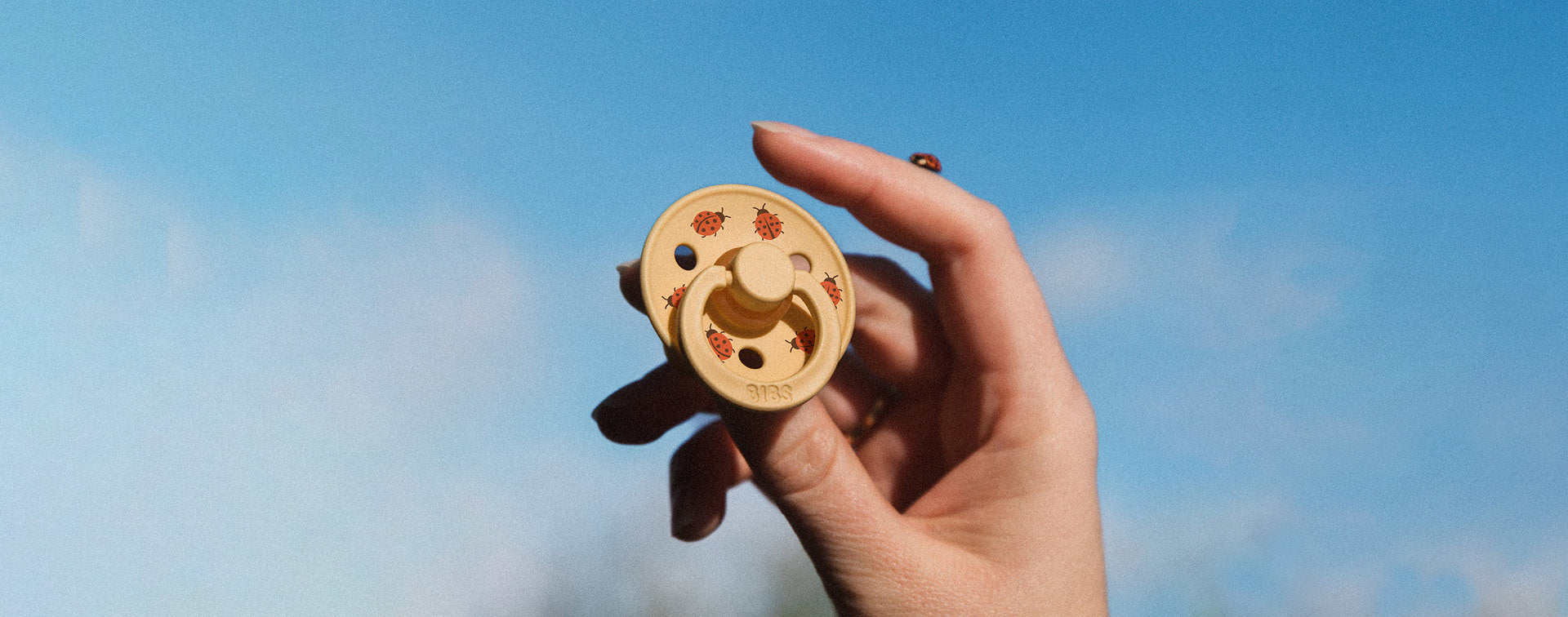 Choosing a Pacifier - Dimples