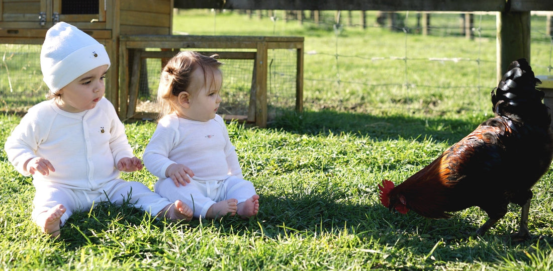 Our Commitment to the Environment - Dimples