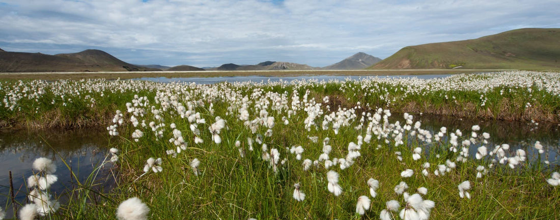 No matter the colour, all our clothes are green on the inside - Dimples