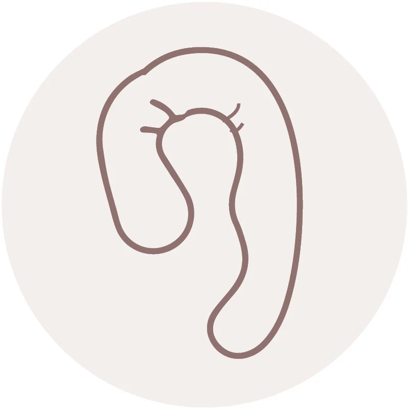 Pregnancy Pillow