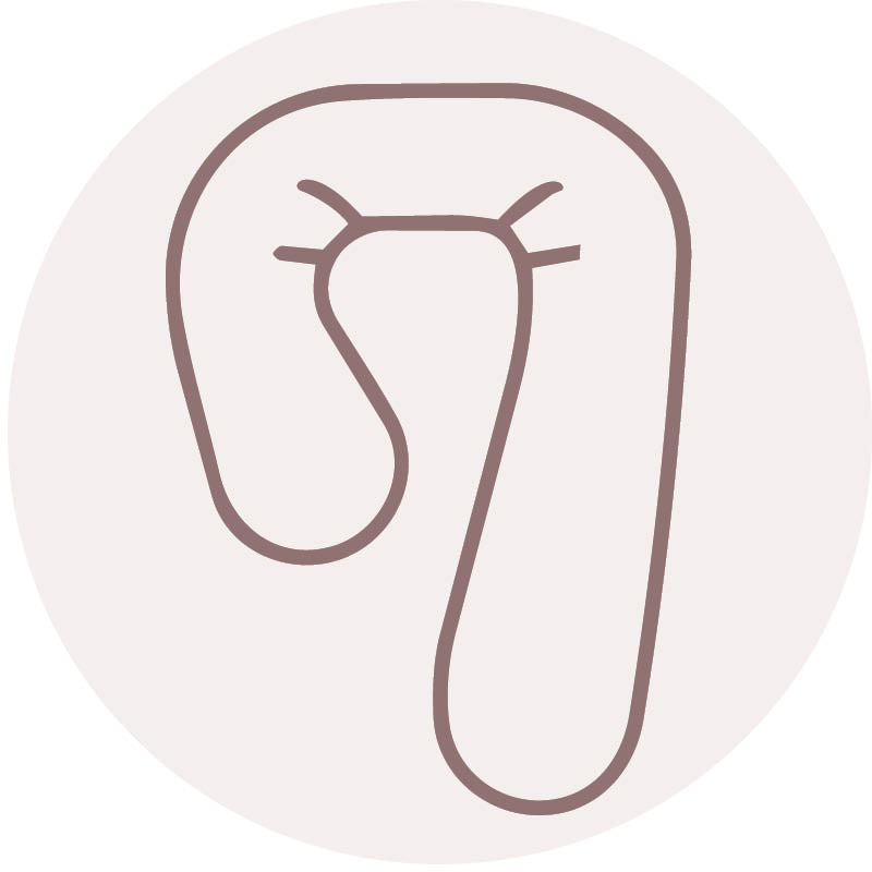 Pregnancy Pillow