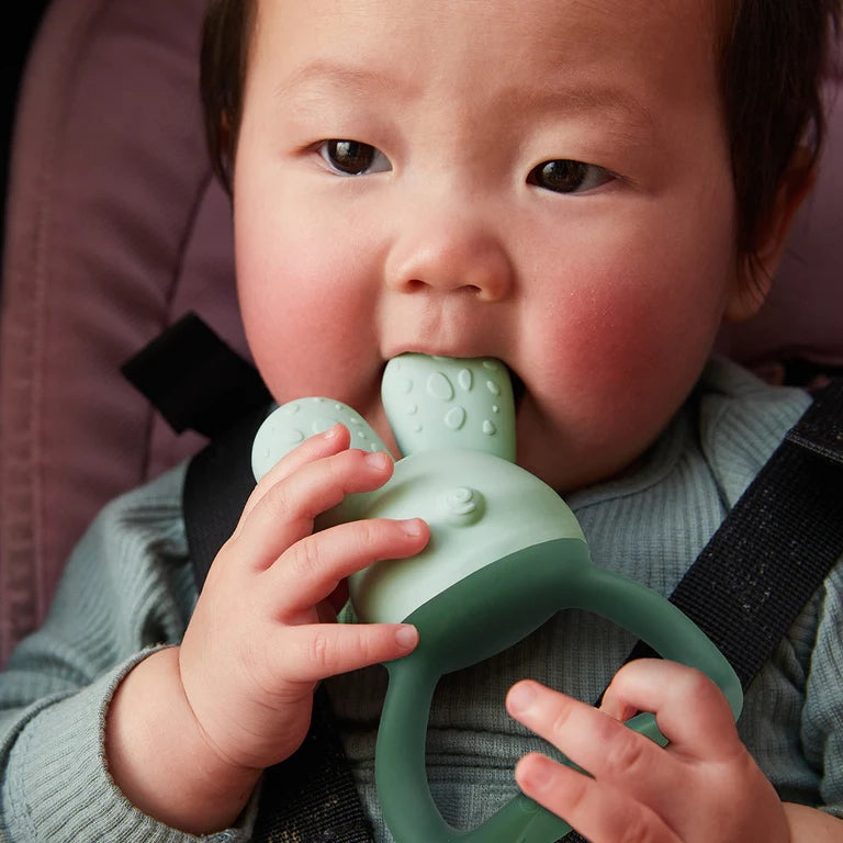B.box chill and fill teether in sage 