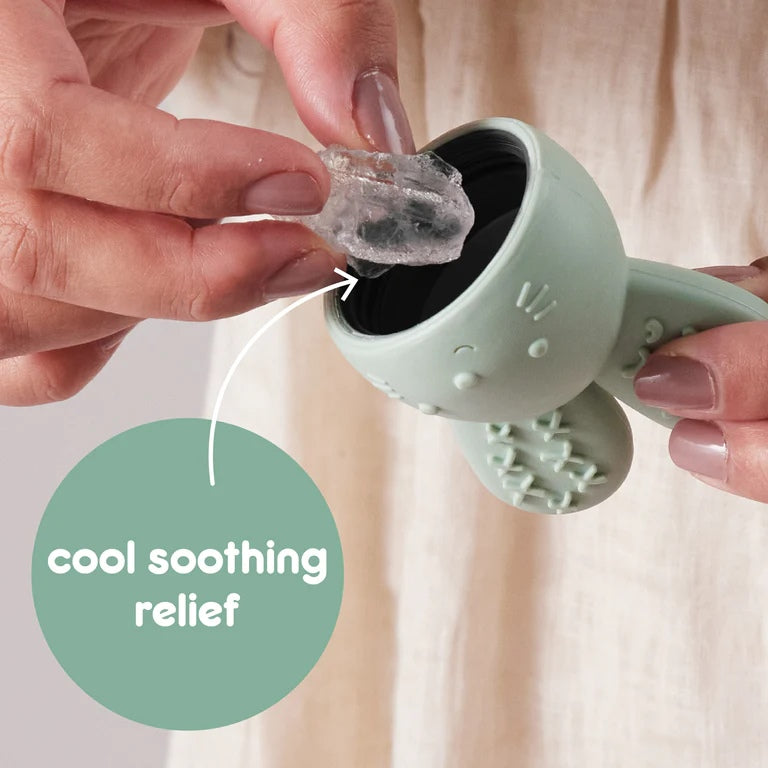 B.box chill and fill teether in sage 