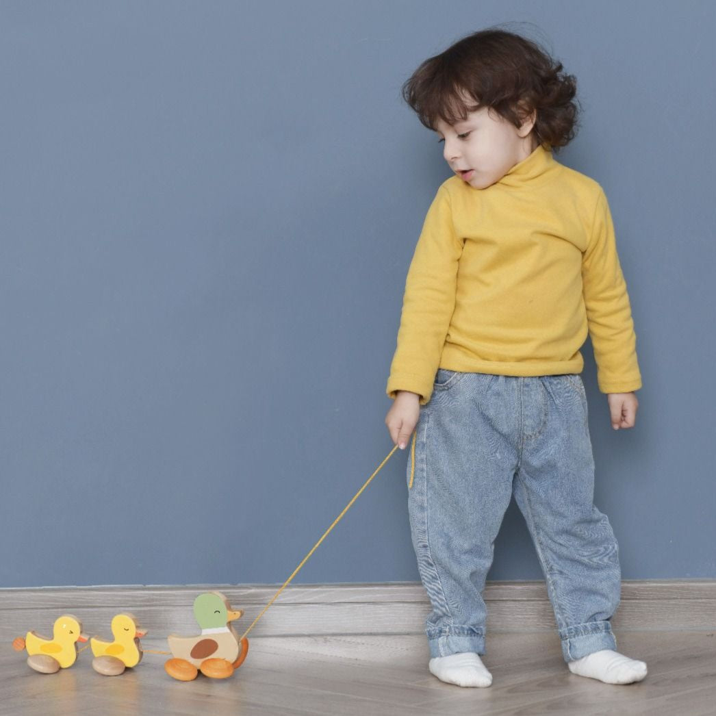 Classic World Pull Paddling Duck