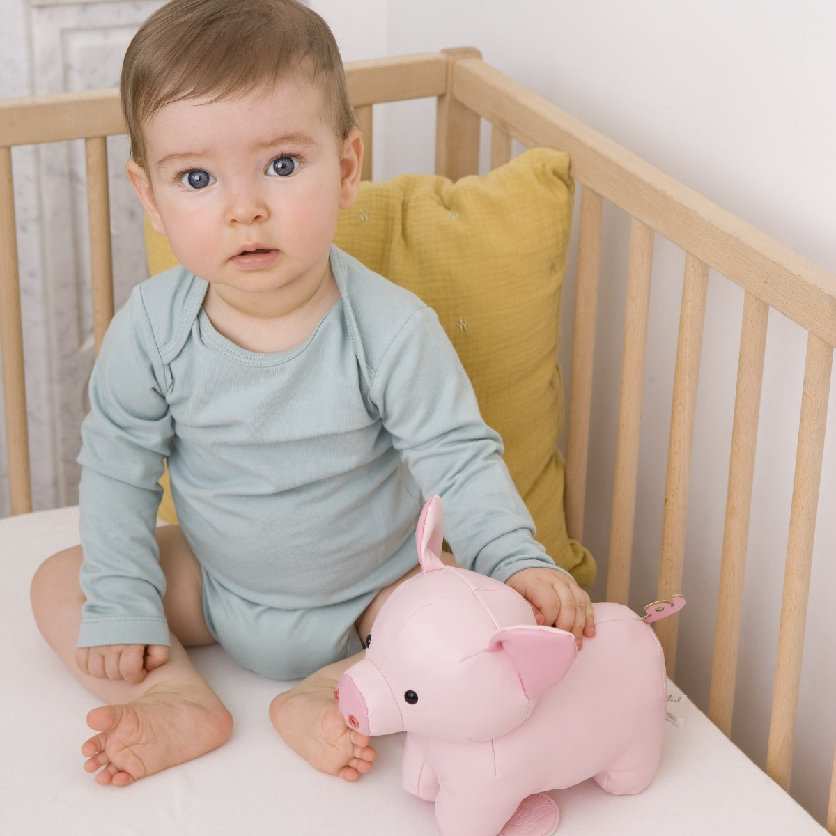 little boy and Little big friends musical friend leon the pig in a cot 