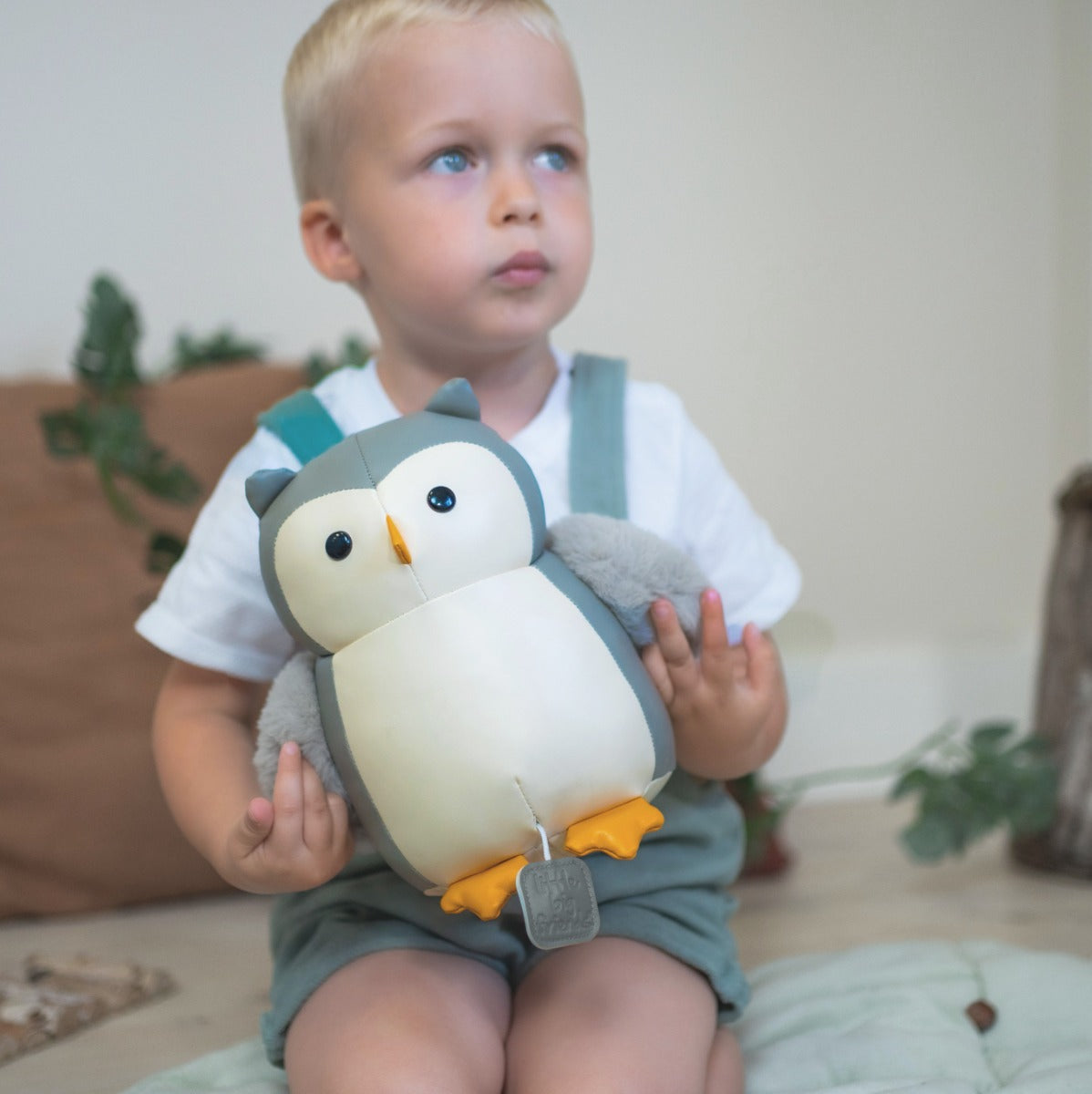 Toddler boy holding Little big friends musical friends Colette the Owl