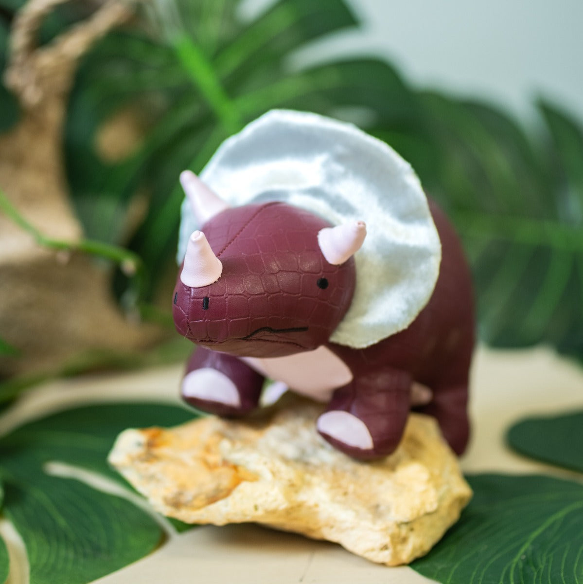 Little big friends Penelope the Triceratops standing on a rock 