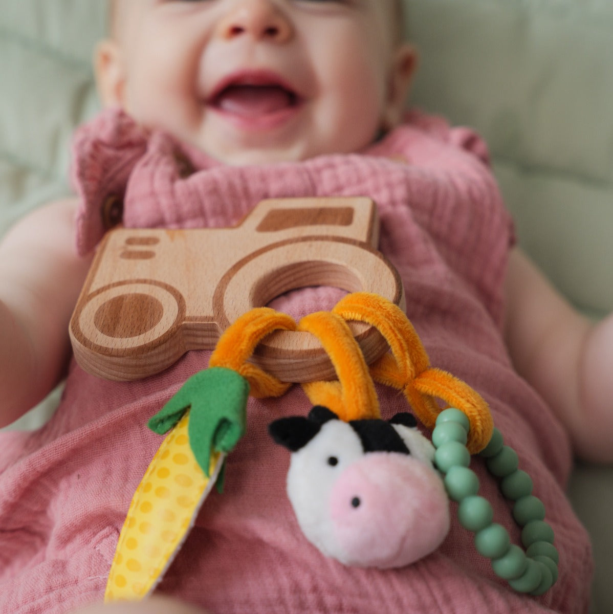 Little big friends wooden rattle with farm theme