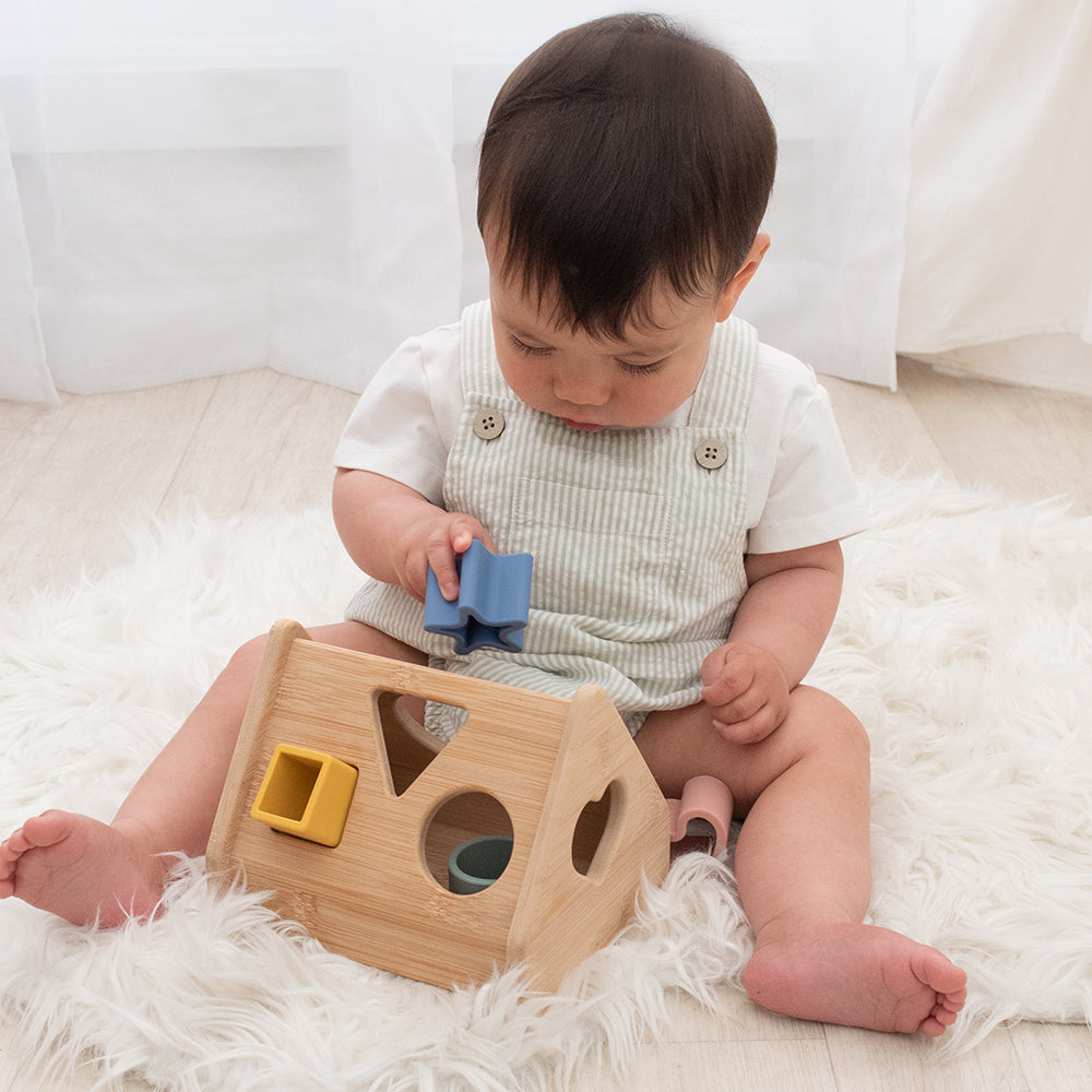 House Shape Sorter - Playground - Dimples