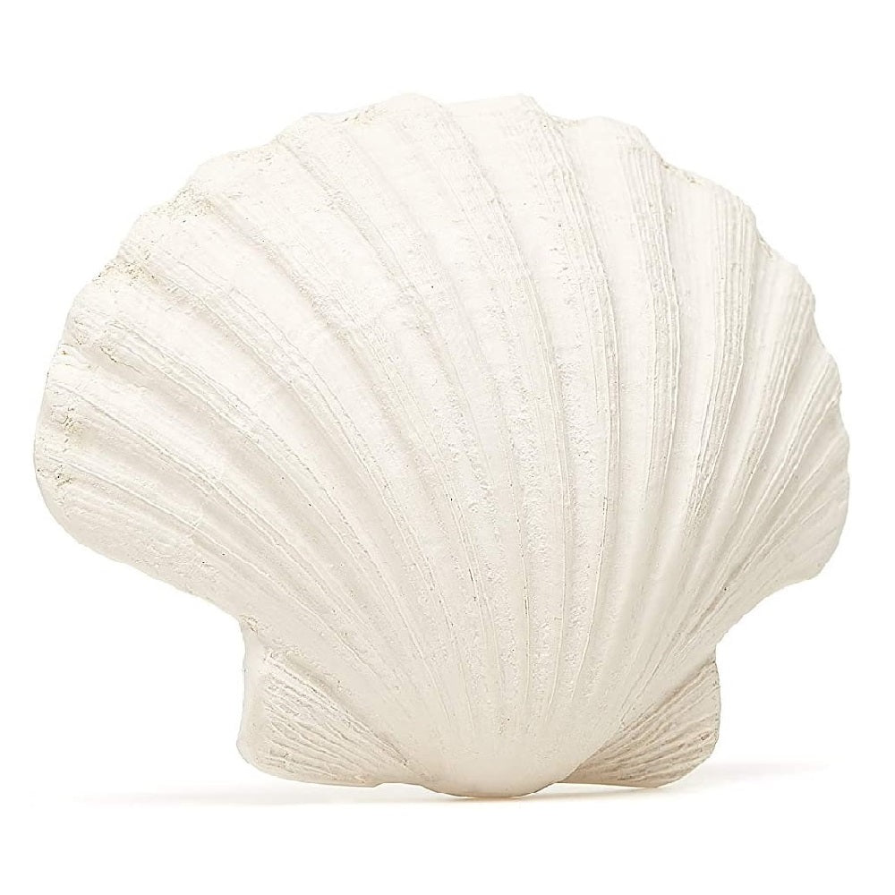 Lanco Natural Rubber Baby Teething Sensory toy - Scallop Shell:image,small_image,thumbnail,swatch_image