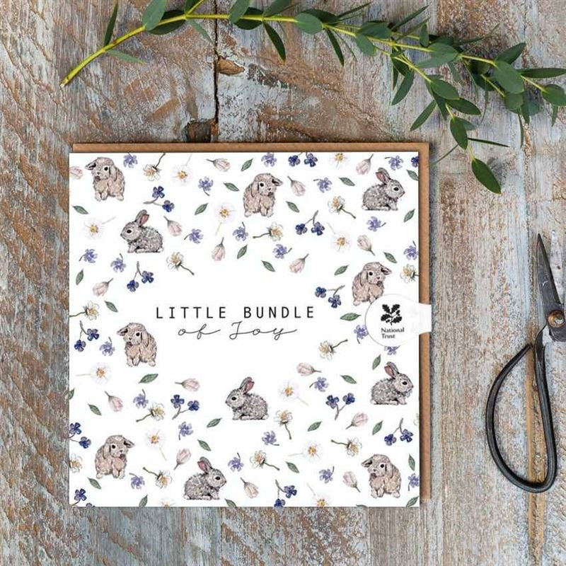 Bundle of Joy Bunnies Card - Toasted Crumpet - Dimples