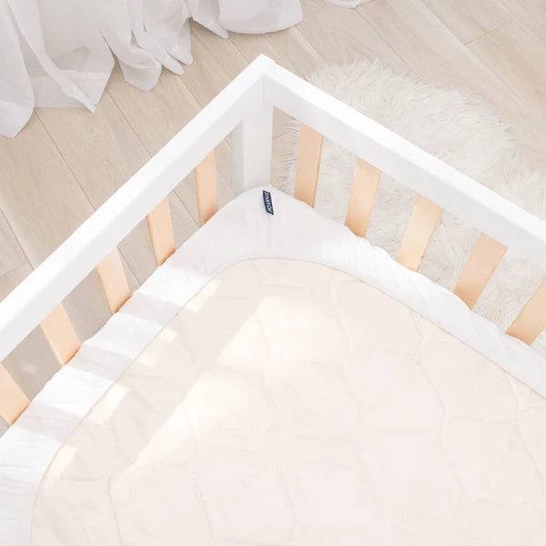 Smart Dri Cot Protector - Living Textiles - Dimples