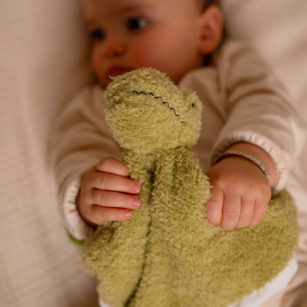 Baby Comforter - Rex the Tyrannosaurus Rex the Tyrannosaurus - Little Big Friends