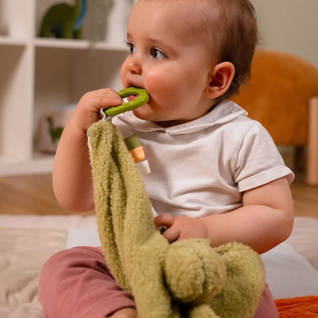 Baby Comforter - Rex the Tyrannosaurus Rex the Tyrannosaurus - Little Big Friends