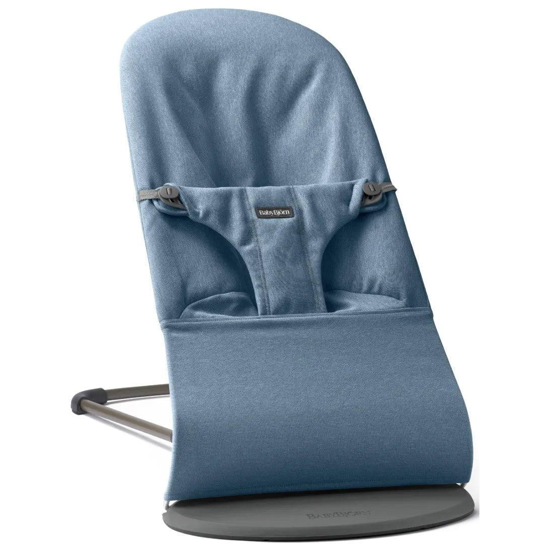 Baby Bjorn Bouncer Bliss
