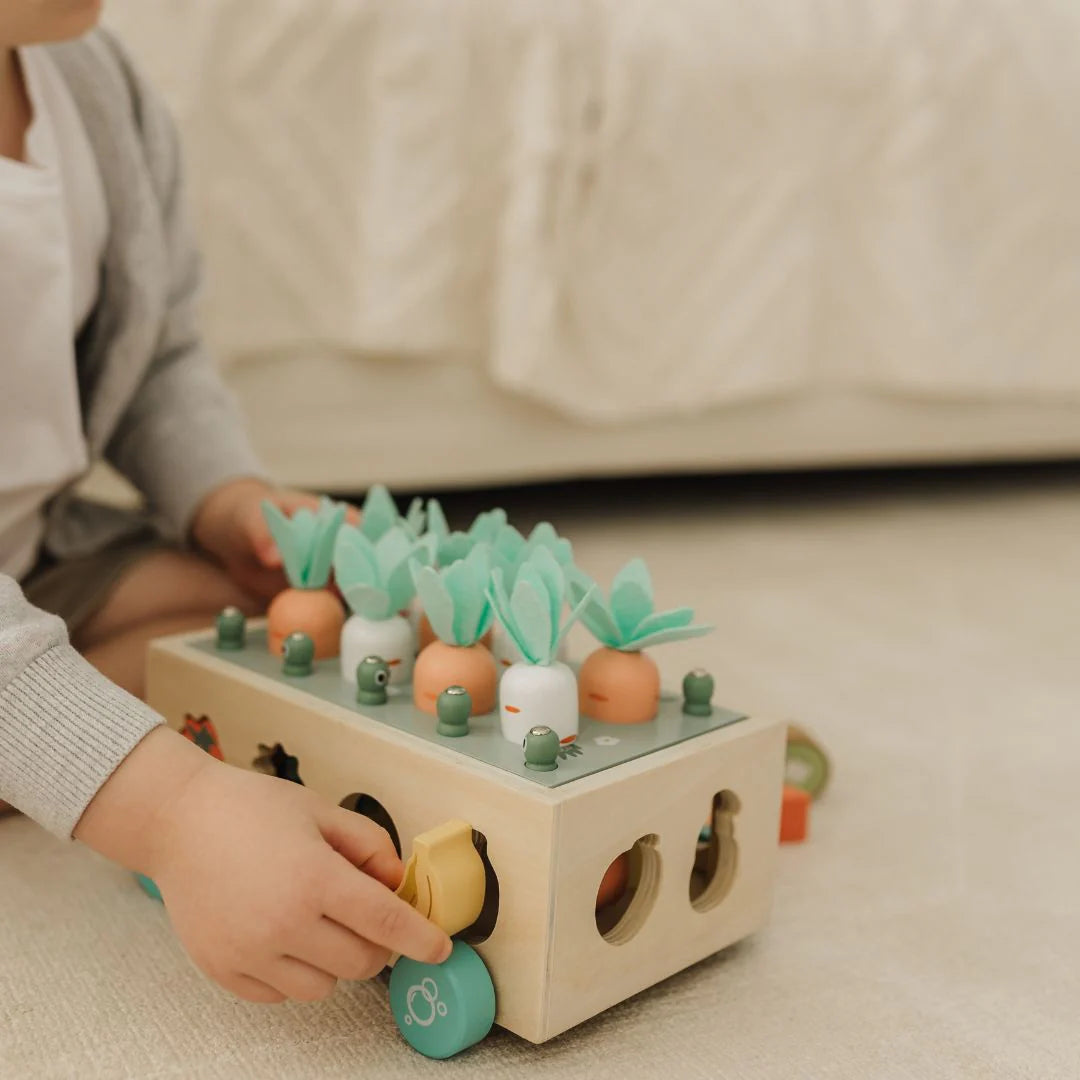Interactive Wooden Vege Garden