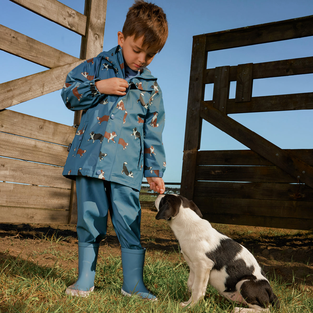 Play Jacket 1YR Collies - Crywolf