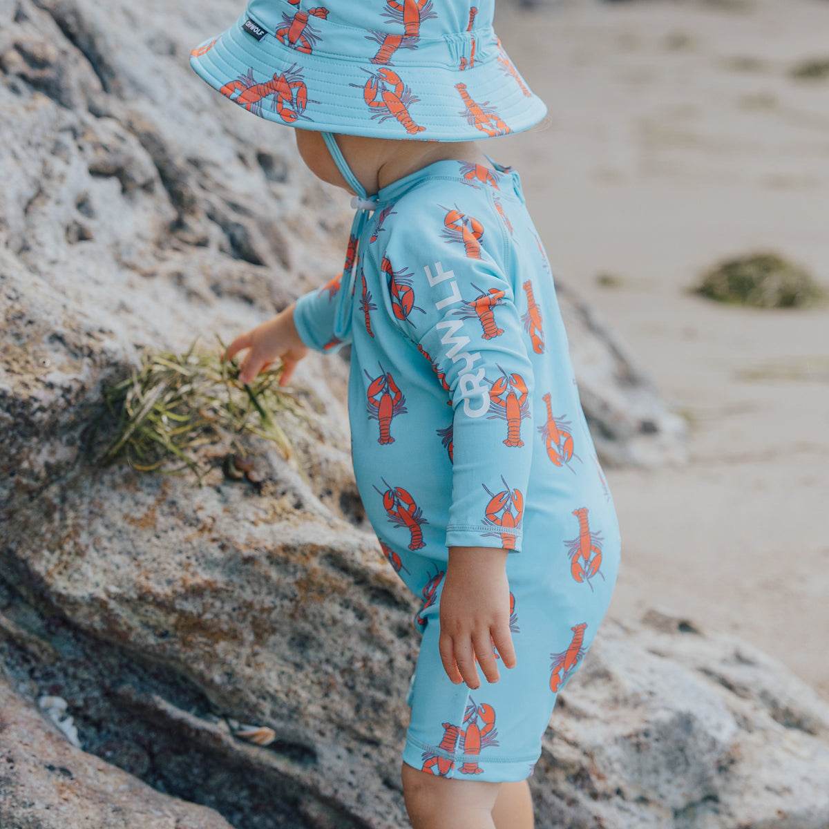 1yr / Little Lobsters Rash Suit - Crywolf
