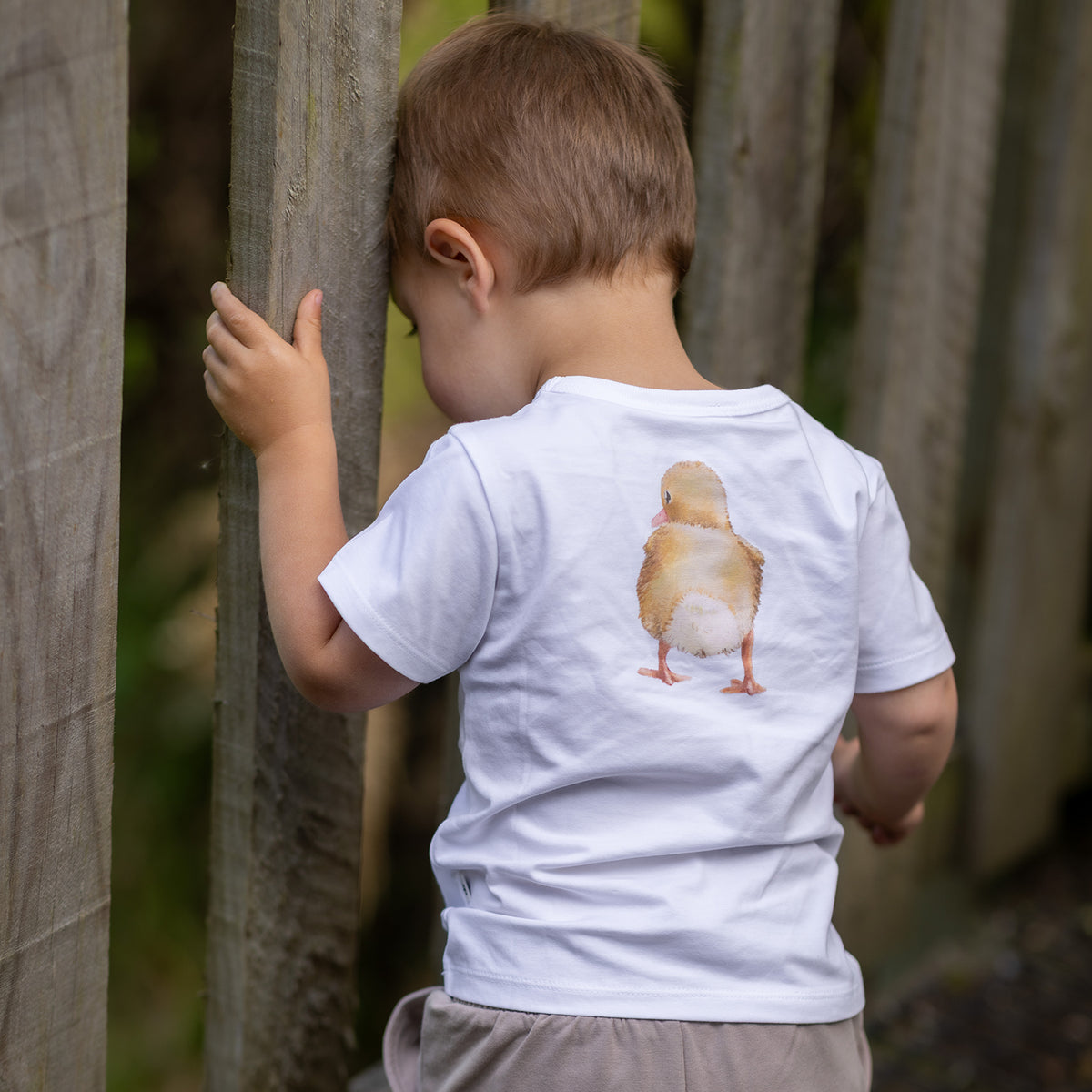Cotton T Shirt