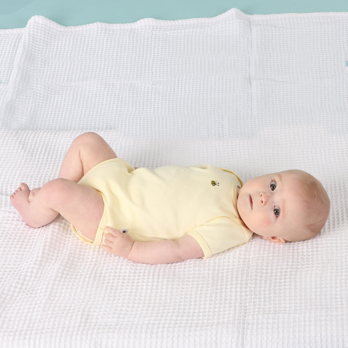Cotton Short Sleeve Bodysuit