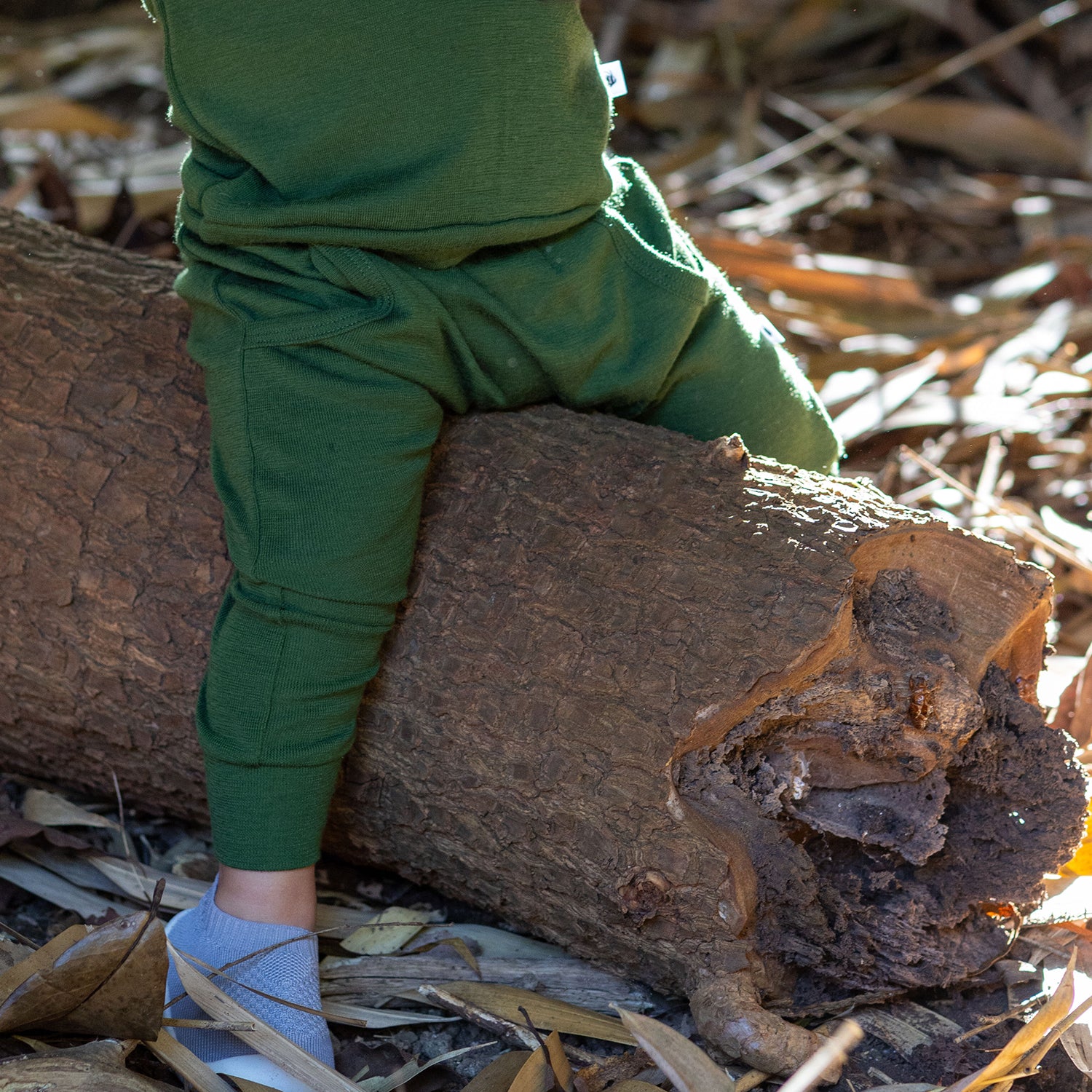 Merino Pants 12mth Evergreen - Dimples