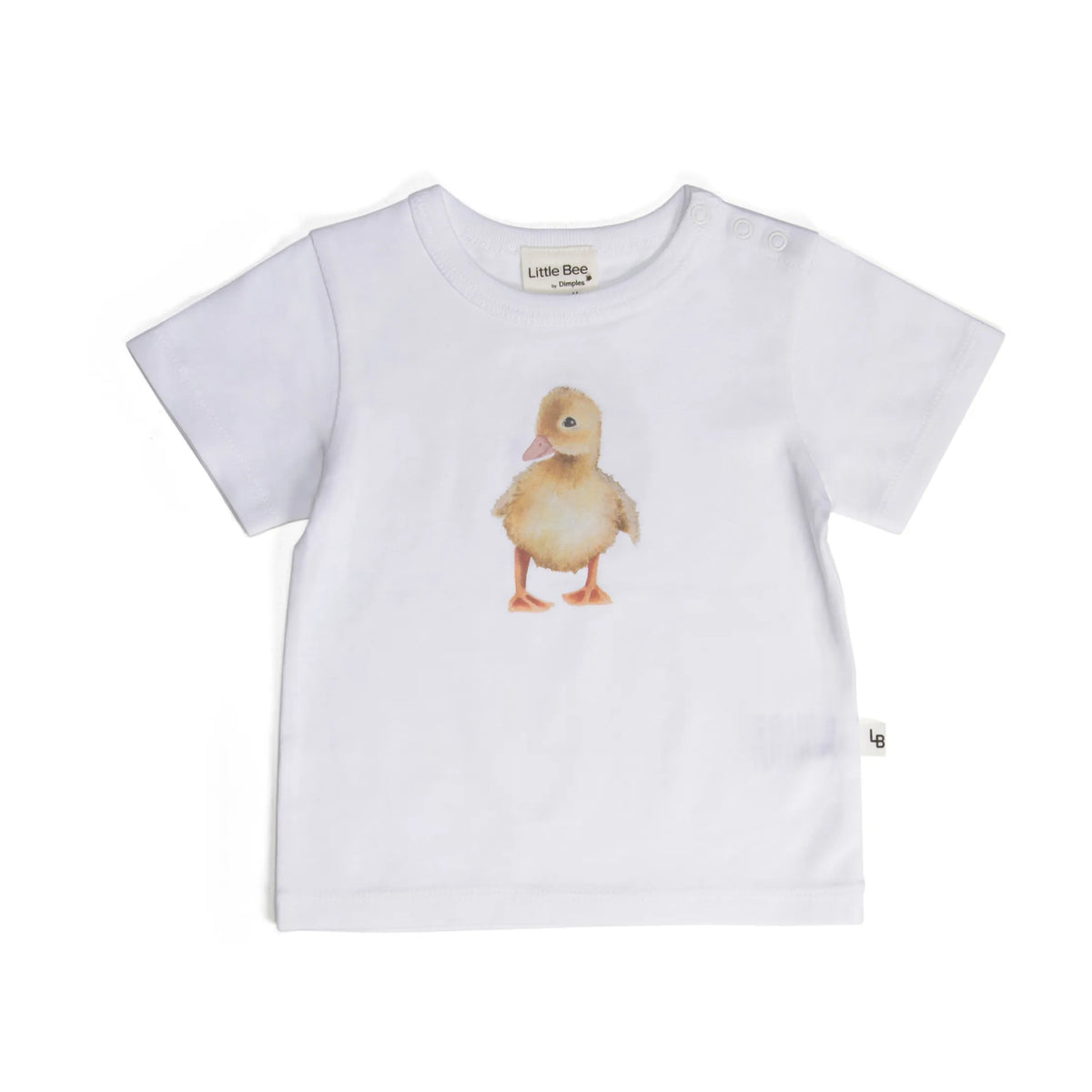 Cotton T Shirt