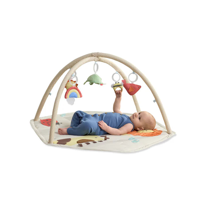 Skip Hop Geometric Wonders Activity Gym