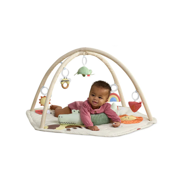 Skip Hop Geometric Wonders Activity Gym