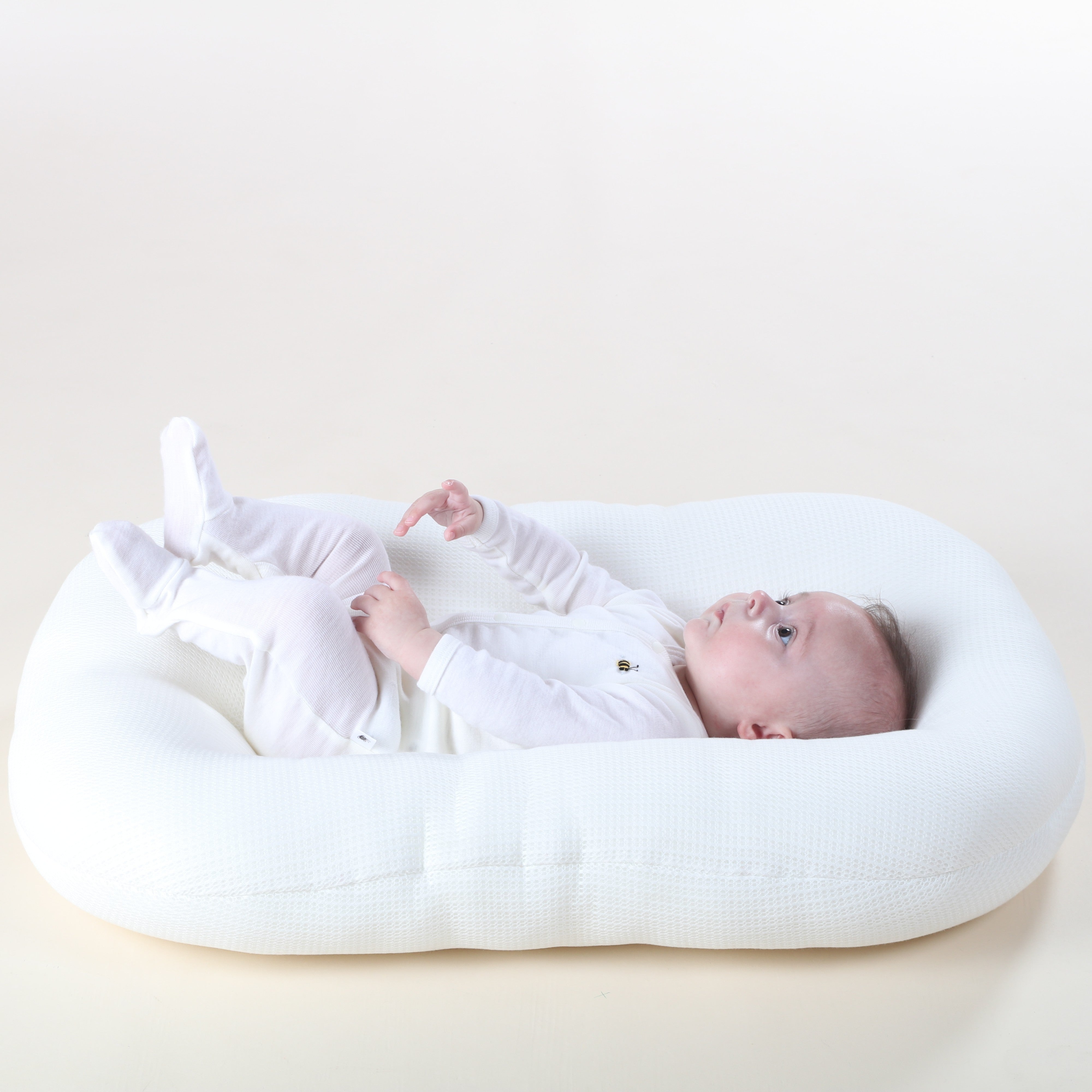 Baby Lounger