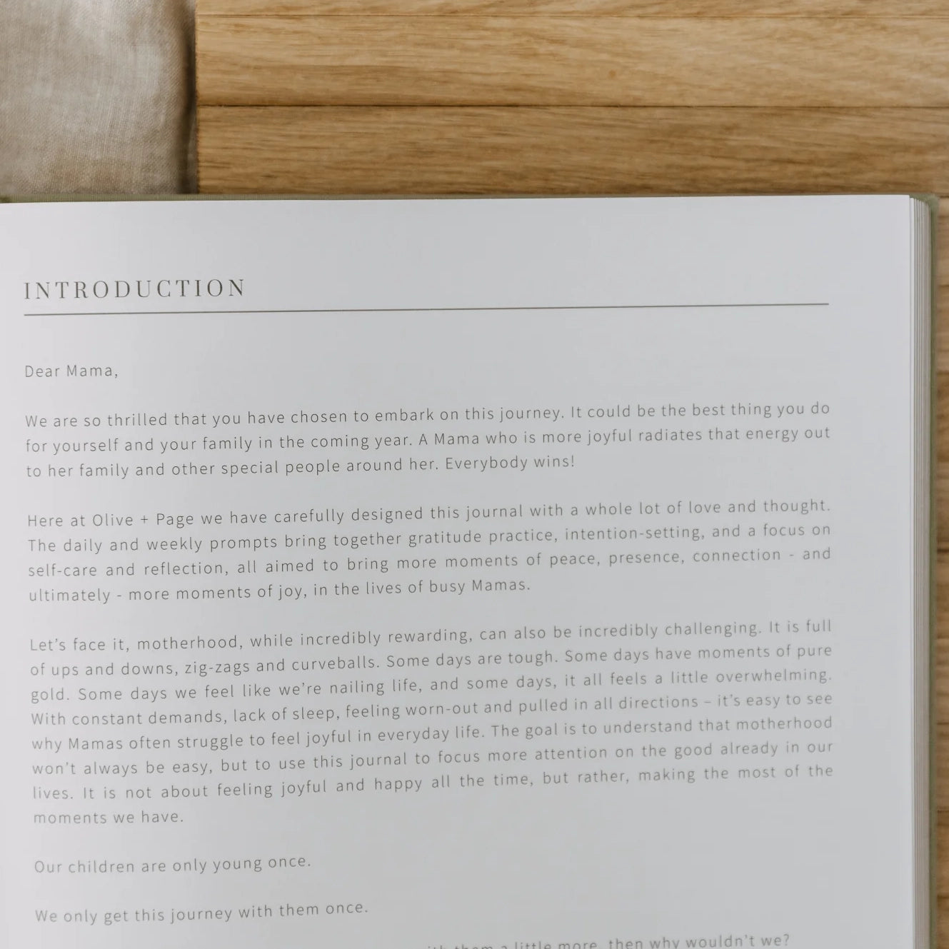 The Joy Journal - for Mothers