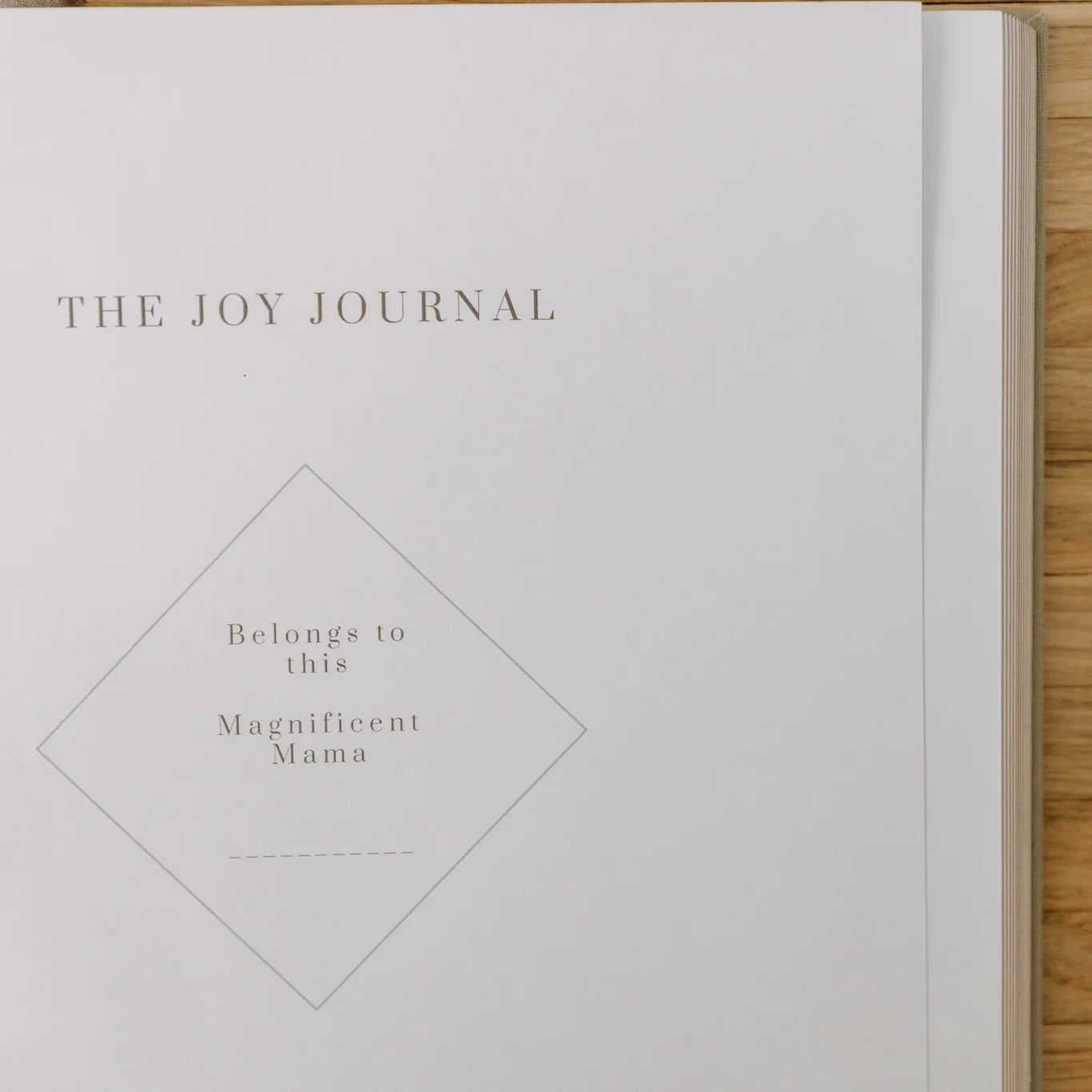 The Joy Journal - for Mothers