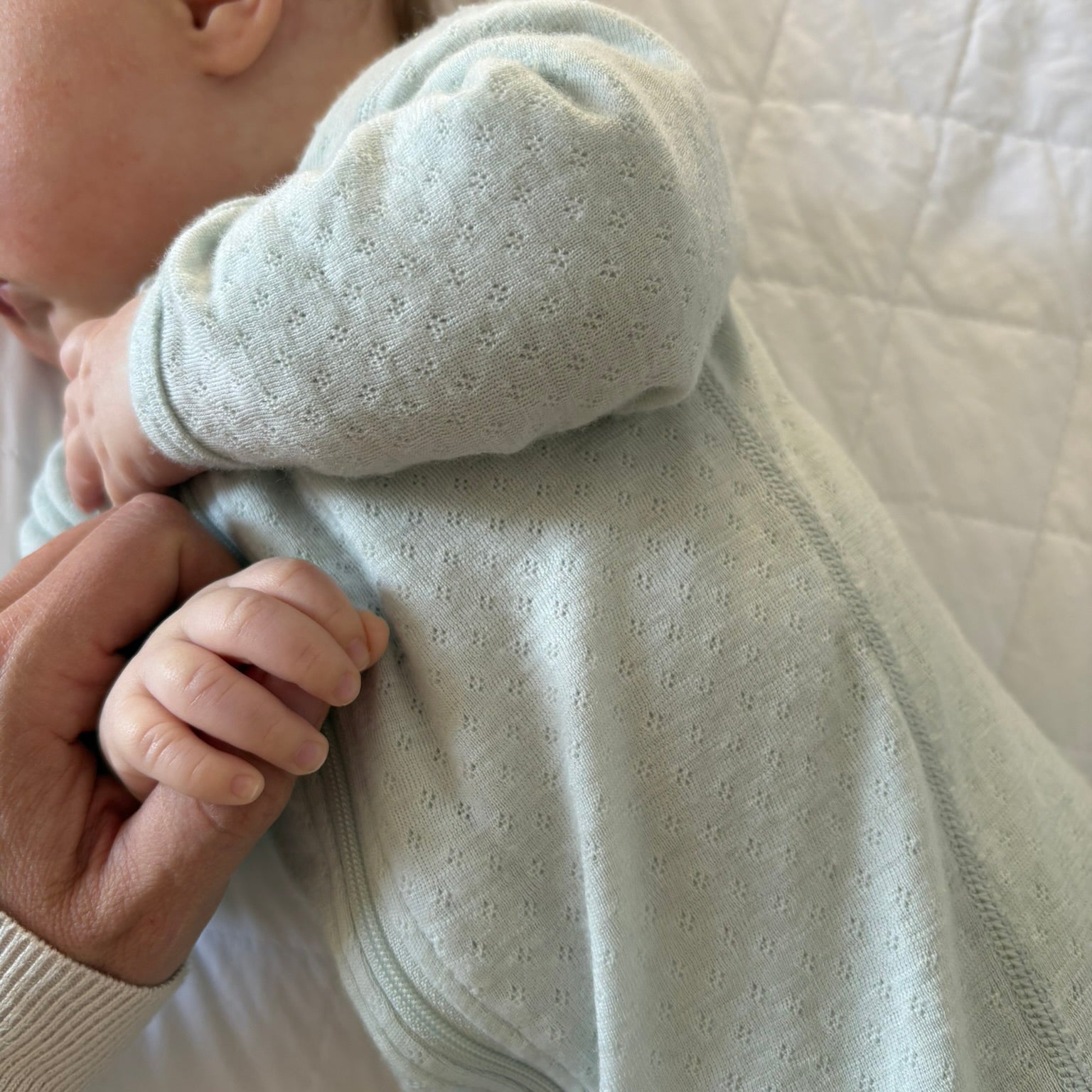 Merino Zip Babygrow - Pointelle Duck Egg 3mth - Little Bee by Dimples