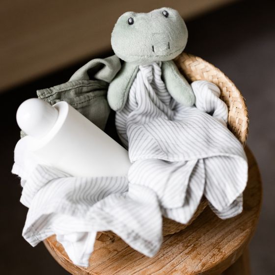 Little Bamboo Comforter Freddie Frog - Little Bamboo