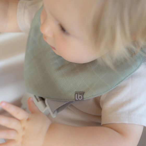 Little Bamboo Muslin Bib 5pk Bayleaf - Little Bamboo