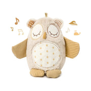 Nighty Night Owl Smart Sensor Owl - Cloud.b