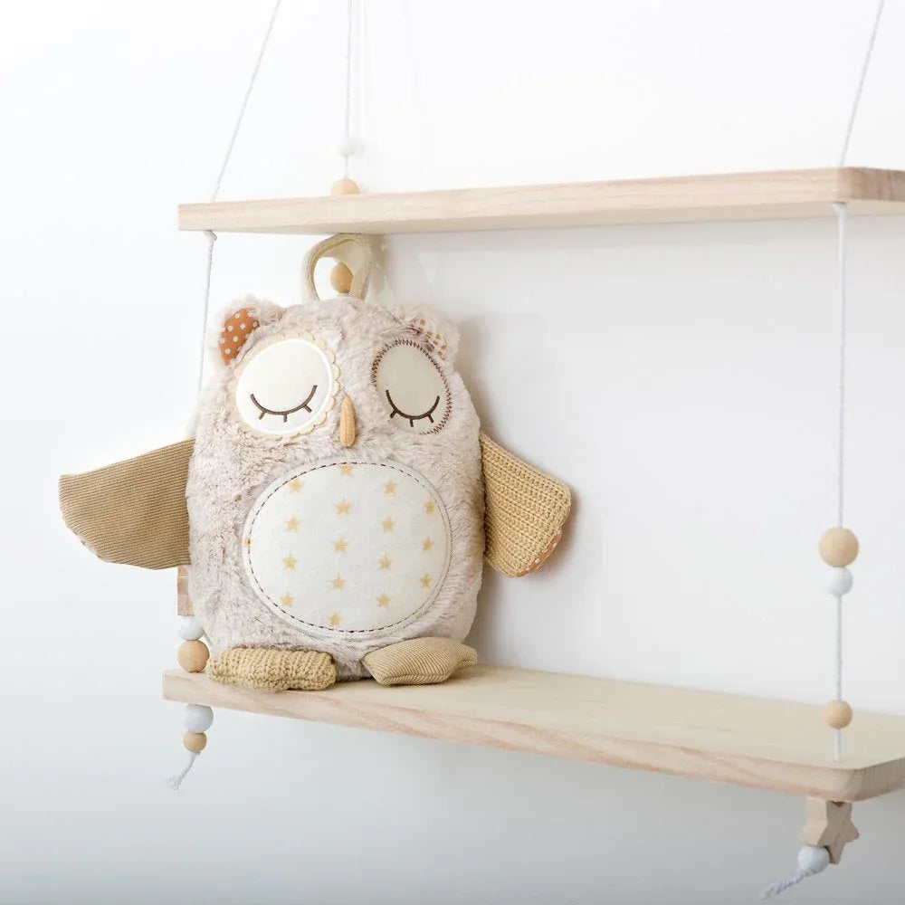Nighty Night Owl Smart Sensor Owl - Cloud.b