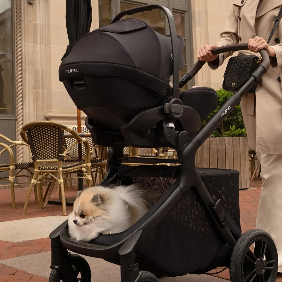 Nuna Demi Icon Stroller