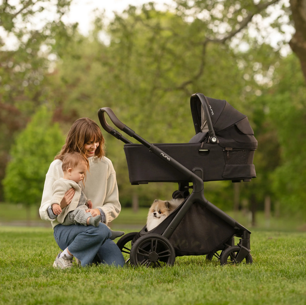 Nuna Demi Icon Stroller