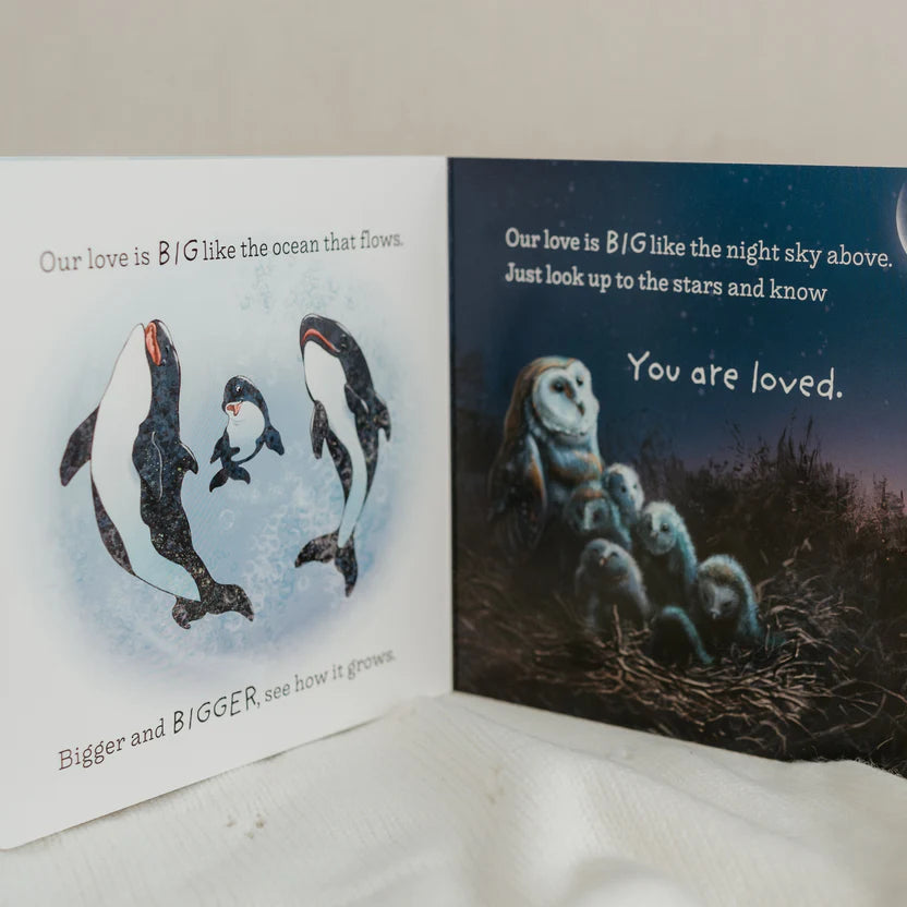 So Loved Board Book - Books