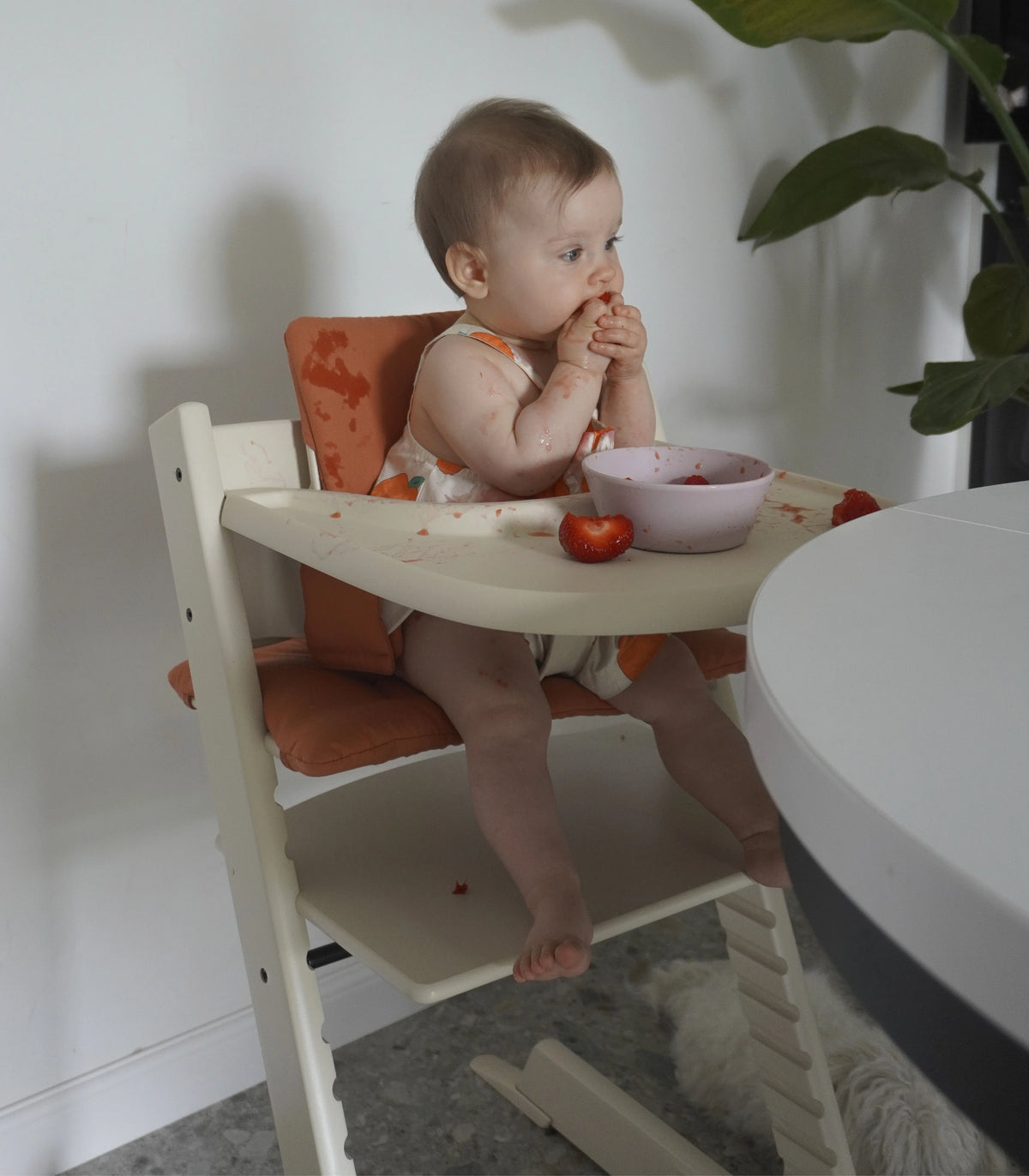 Stokke Tripp Trapp Tray Vanilla White - Stokke