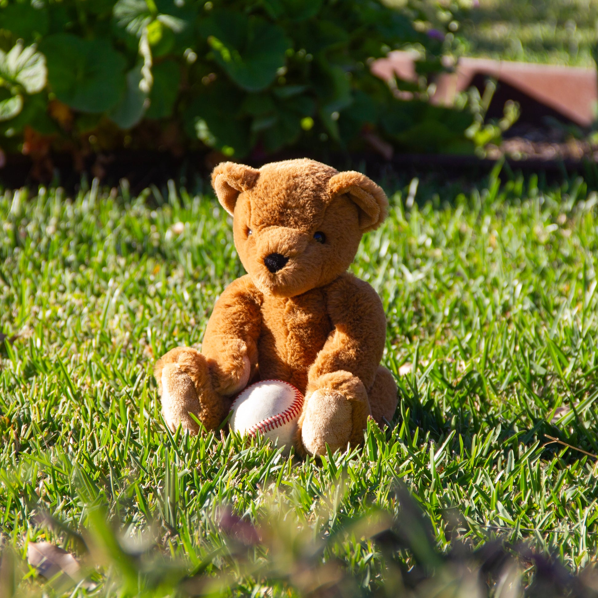 Theodore Teddy Small Small Brown - Wonderlings
