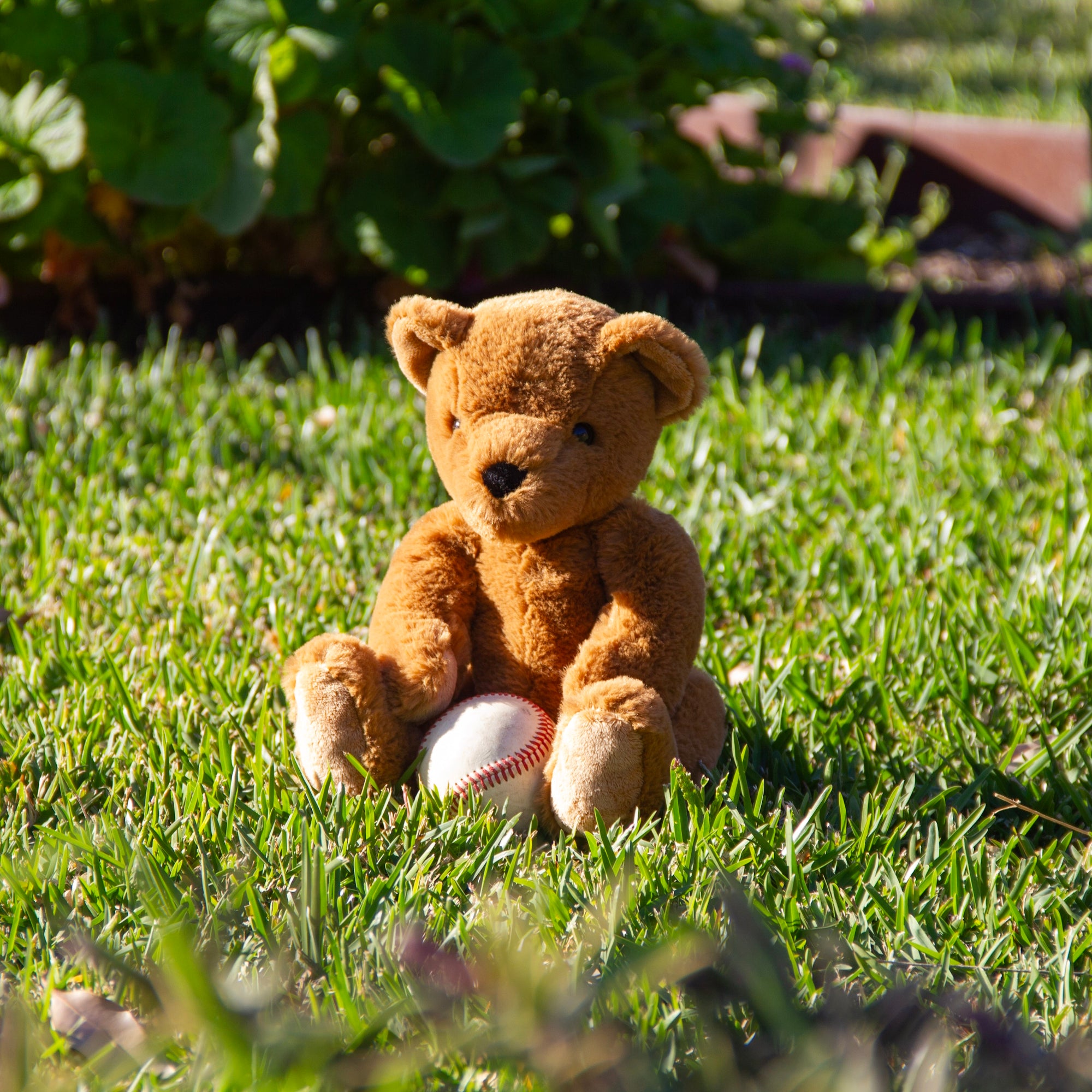 Theodore Teddy Small Small Brown - Wonderlings