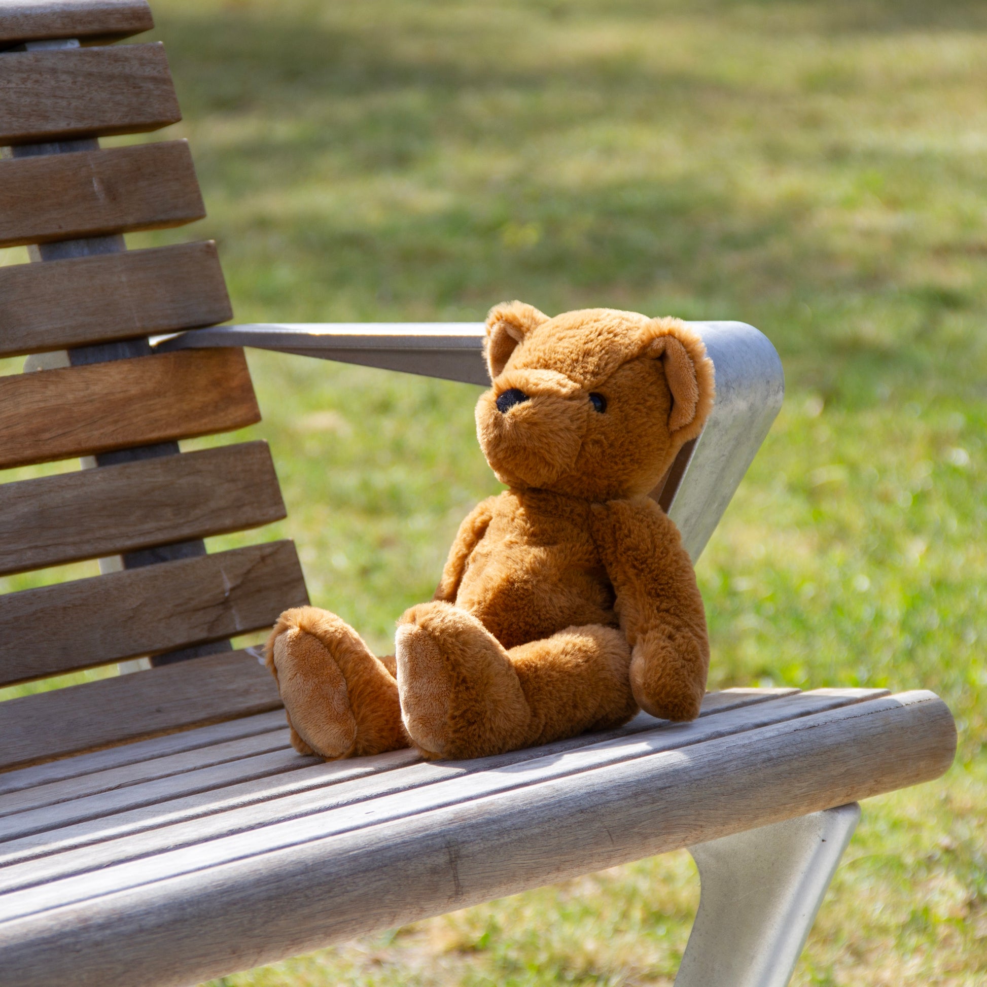 Theodore Teddy Small Small Brown - Wonderlings