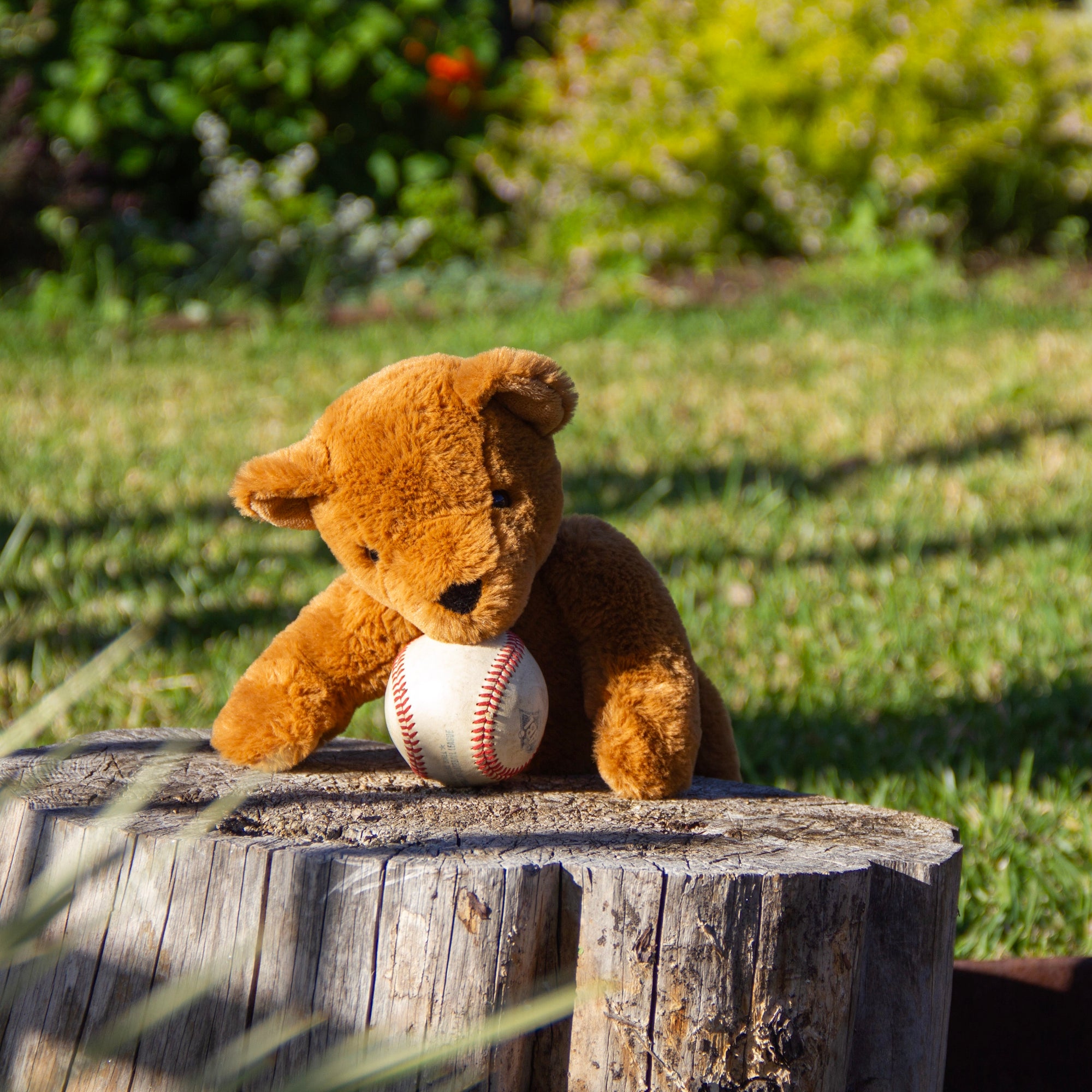 Theodore Teddy Small Small Brown - Wonderlings