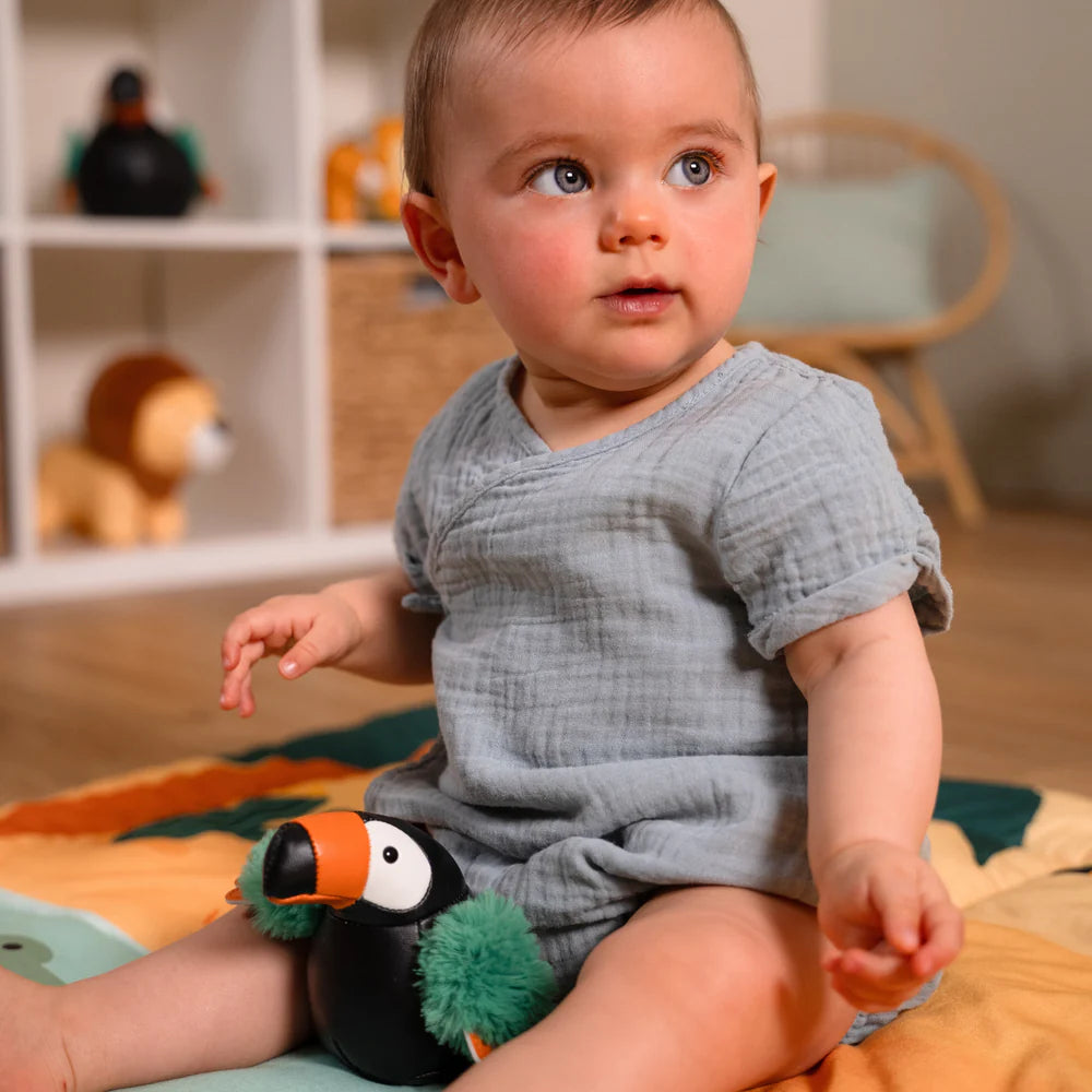 Tiny Friends - Toucan Toucan - Little Big Friends