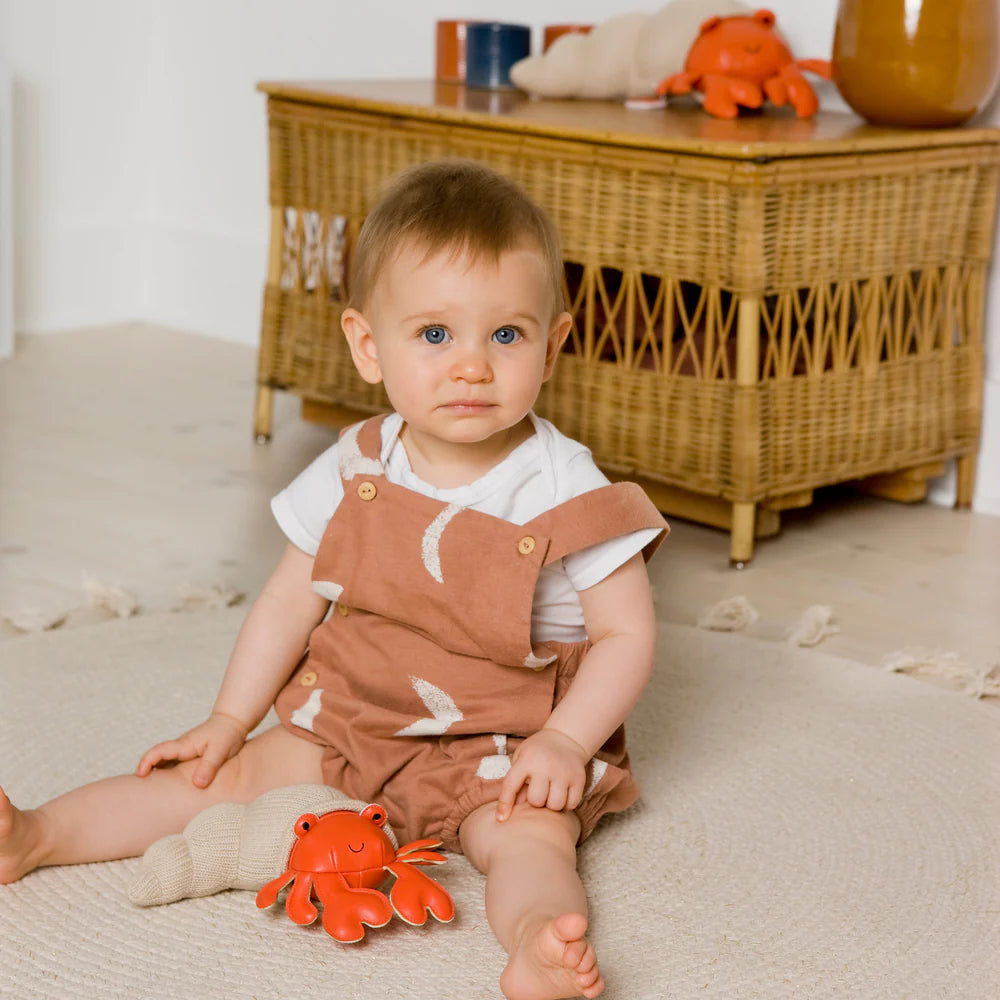 Tiny Friends - Hermit Crab Hermit Crab - Little Big Friends