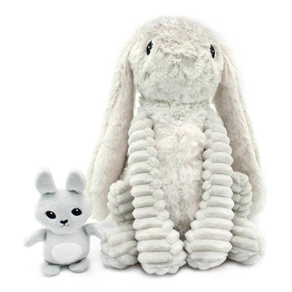 Toudou the Rabbit - Les Ptipotos